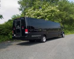 31 passenger executive mini coach
