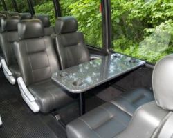 31 passenger executive mini coach