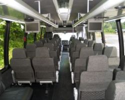 31 passenger executive mini coach