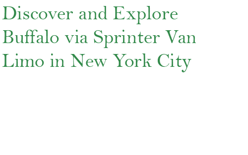 Sprinter Van Limo in New York City