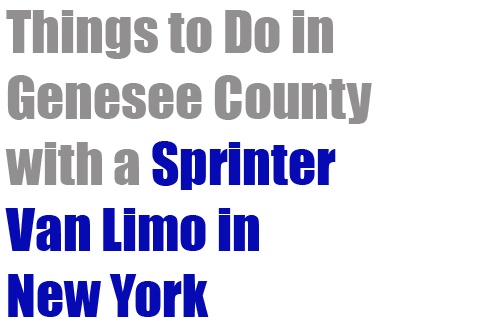 Sprinter Van Limo in New York