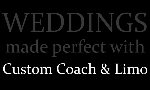 <strong>Custom Coach and Limo</strong>